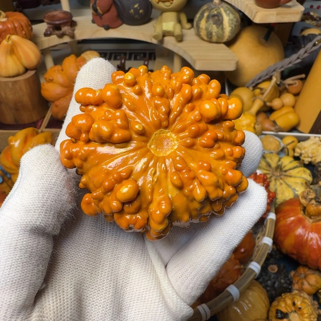 小*白特价葫芦不退不换