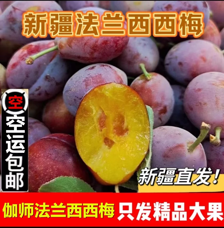航空包邮 3 斤 新疆西梅大果水果新鲜现摘现发新疆直发