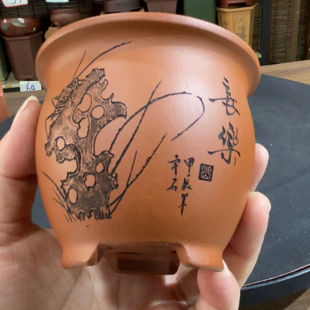 紫砂花盆紫砂花盆在这里