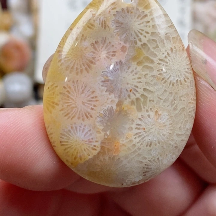 颈饰未镶嵌硅化珊瑚（珊瑚玉）