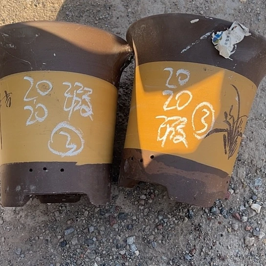 紫砂工艺厂……紫砂工艺厂……