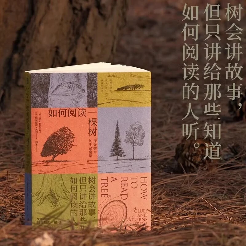 【正版】如何阅读一棵树 探寻树木的生命密语 以自然为书页科普书籍