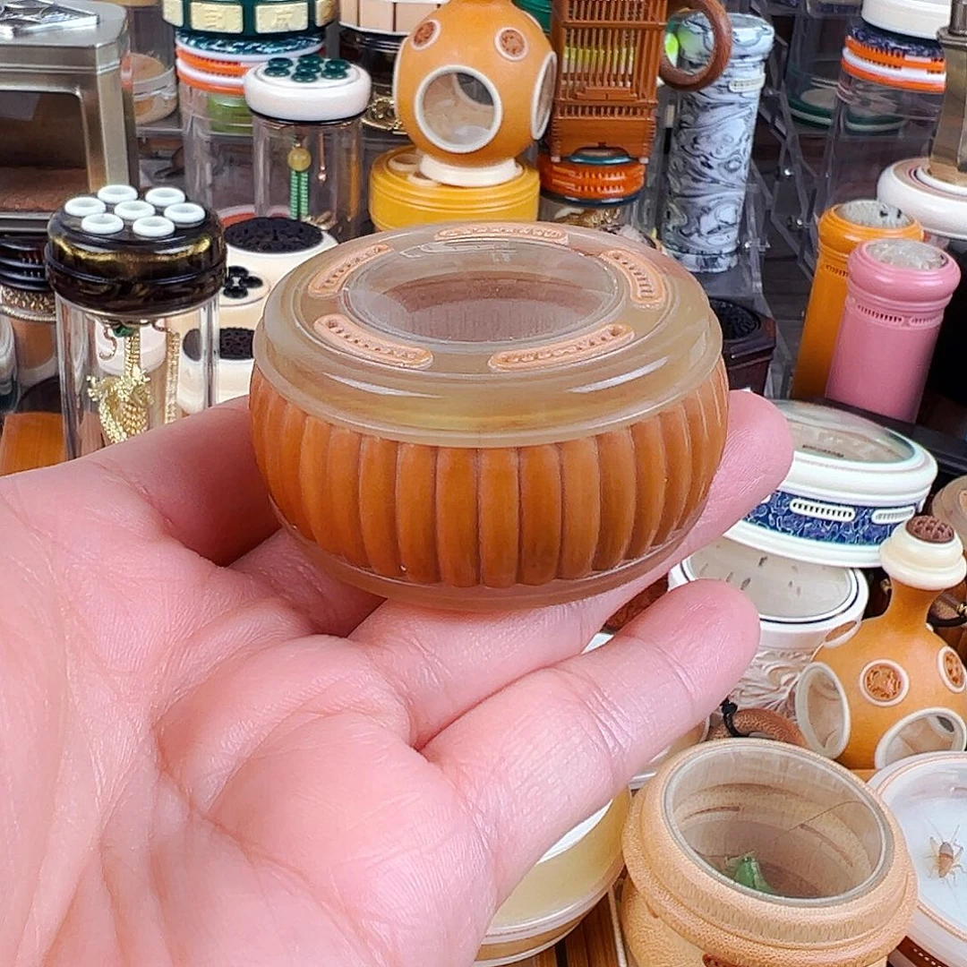 南瓜纹掌中宝万体配竹蛉