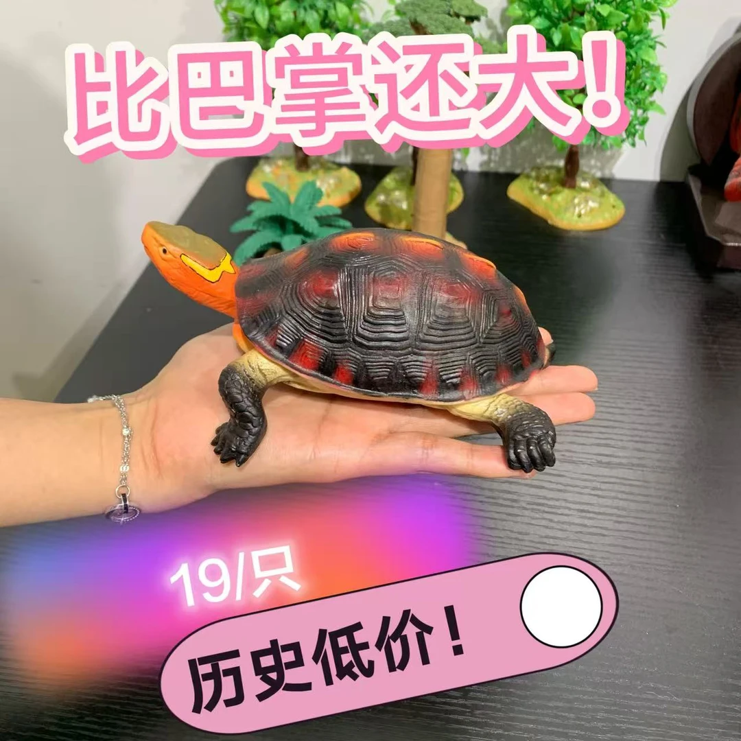 黄缘龟模型宠物精品种龟
