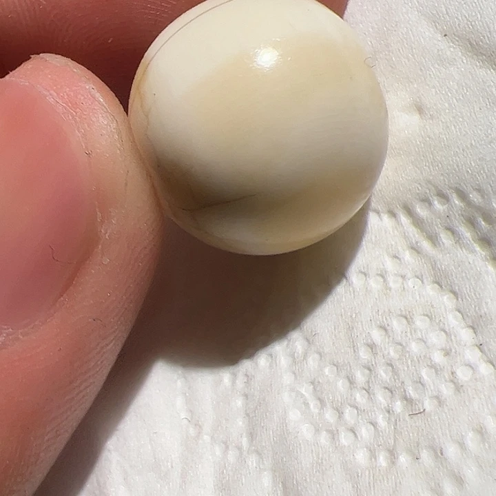 香榧木你的时候你