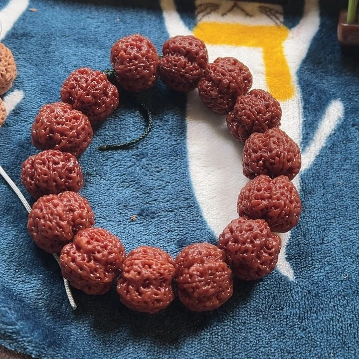 金刚菩提吊坠古龙大梅花一号树