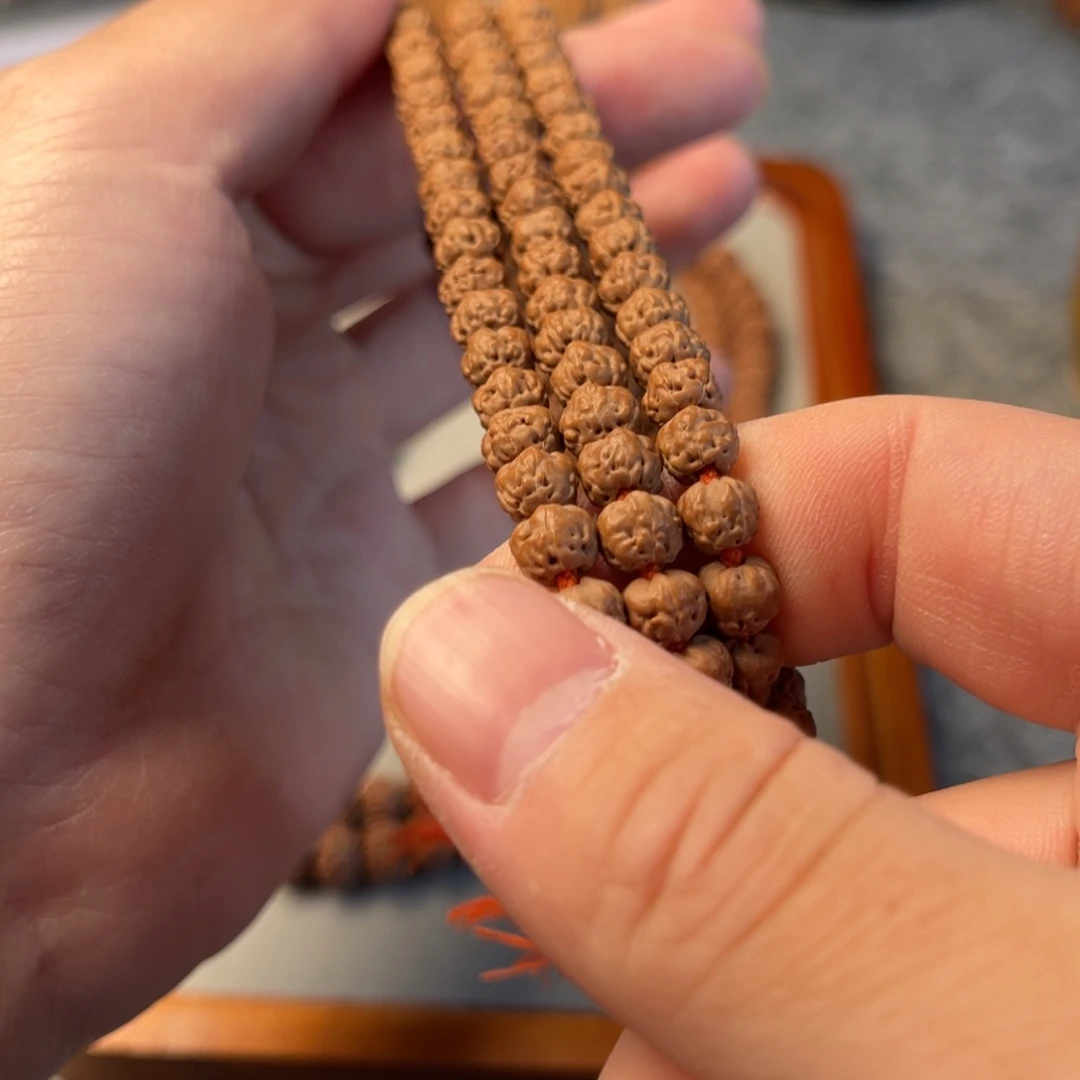 吊坠金刚菩提6.5➕佛手无黄五爪金龙颗颗原生态108