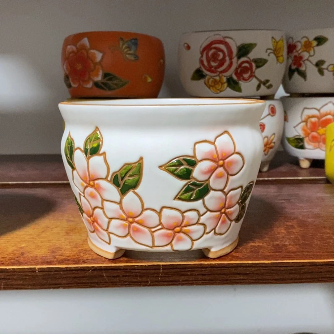 韩式多肉植物花盆