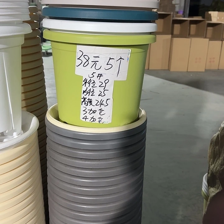 微瑕5#口径29无托果绿5个