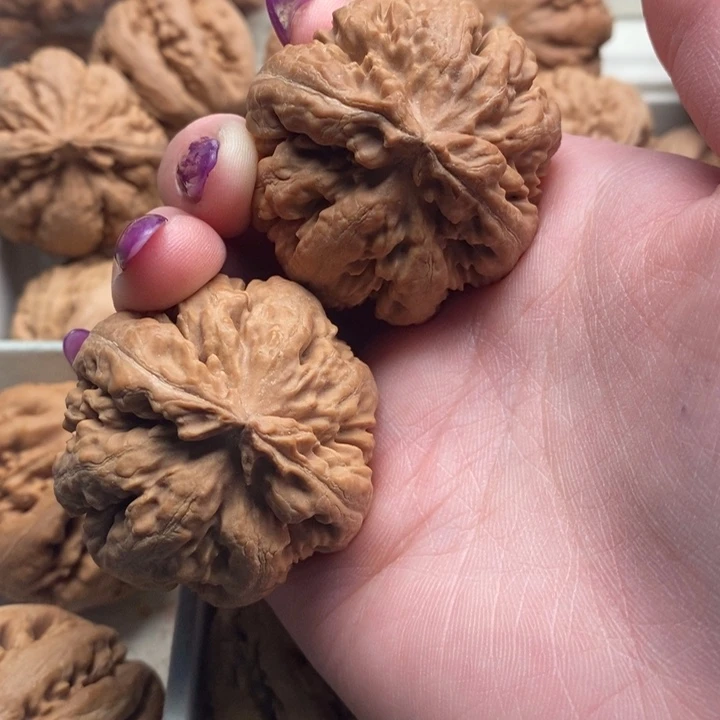 天***者文玩核桃吊坠霸王龙