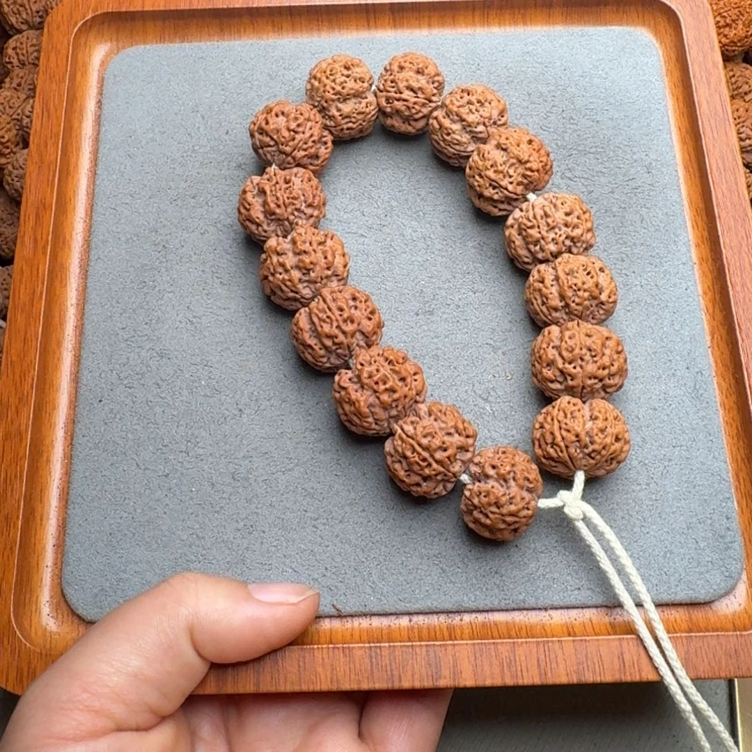 菩提菩提18号尼泊尔大金刚22蜂窝