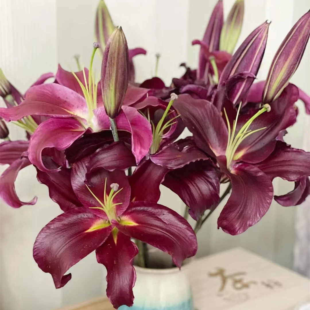 黑凤梨百合【深红色系香水百合】