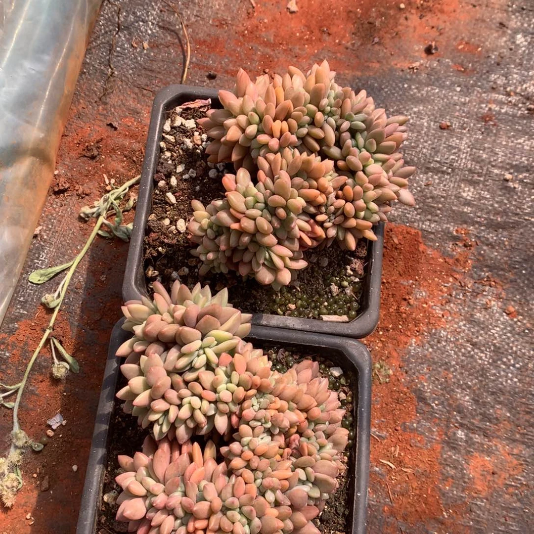 蓉*蓉蓉000000000000