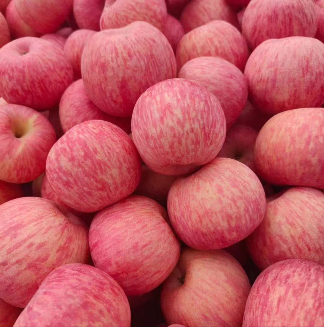 洛川红富士苹果皮薄肉厚，脆甜多汁，核小无渣