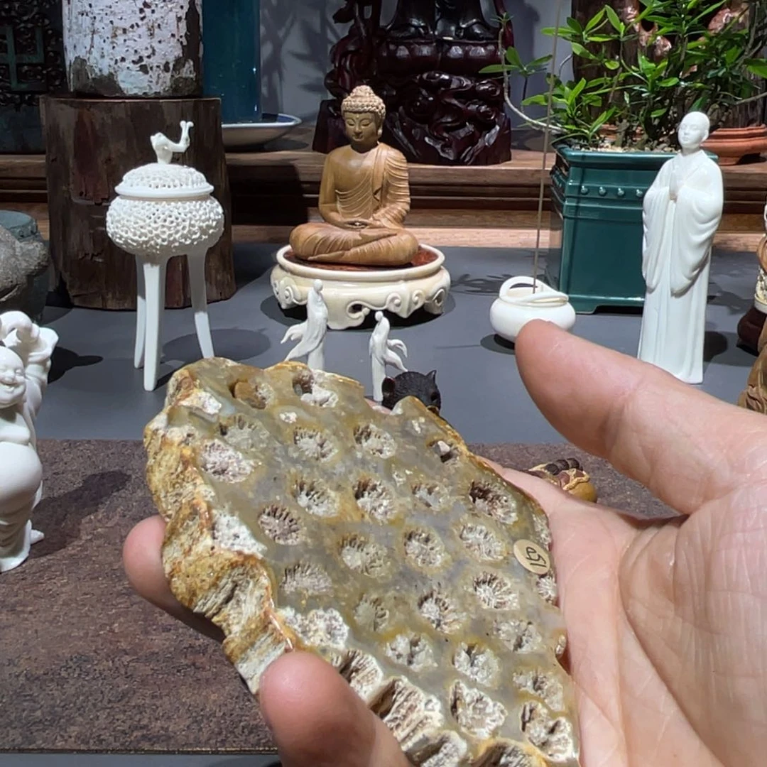 木海**岚木雕工艺品摆件工艺品