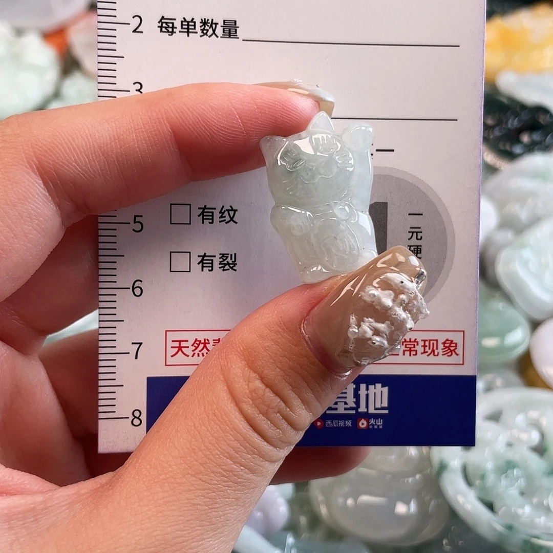 翡翠未镶嵌颈饰1607