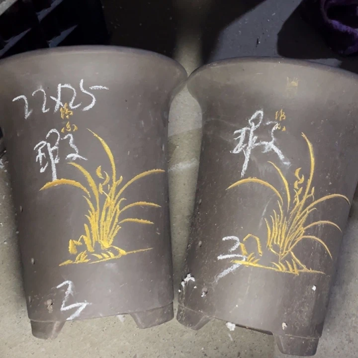 周深周深周深周深周深