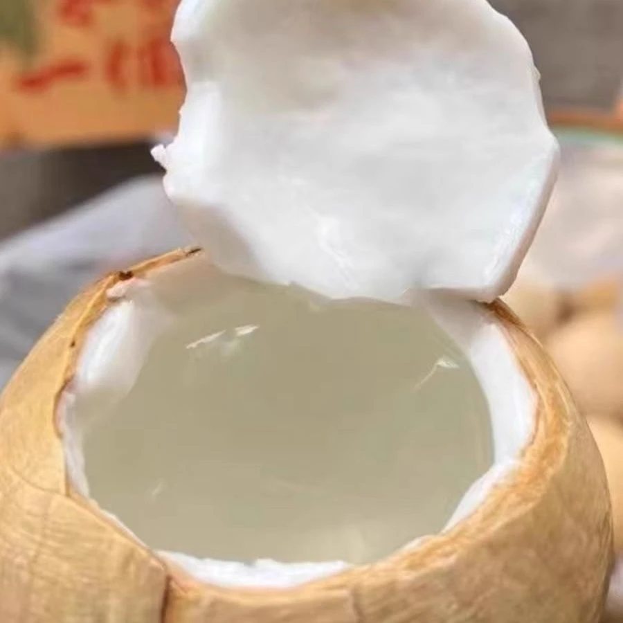 海南椰子牛奶椰皇椰白新鲜当季孕妇水果椰香浓郁汁水现摘椰子蛋