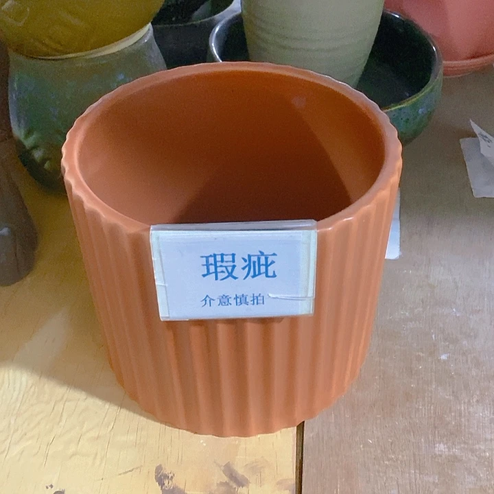 摆件多肉瑕疵盆有孔。