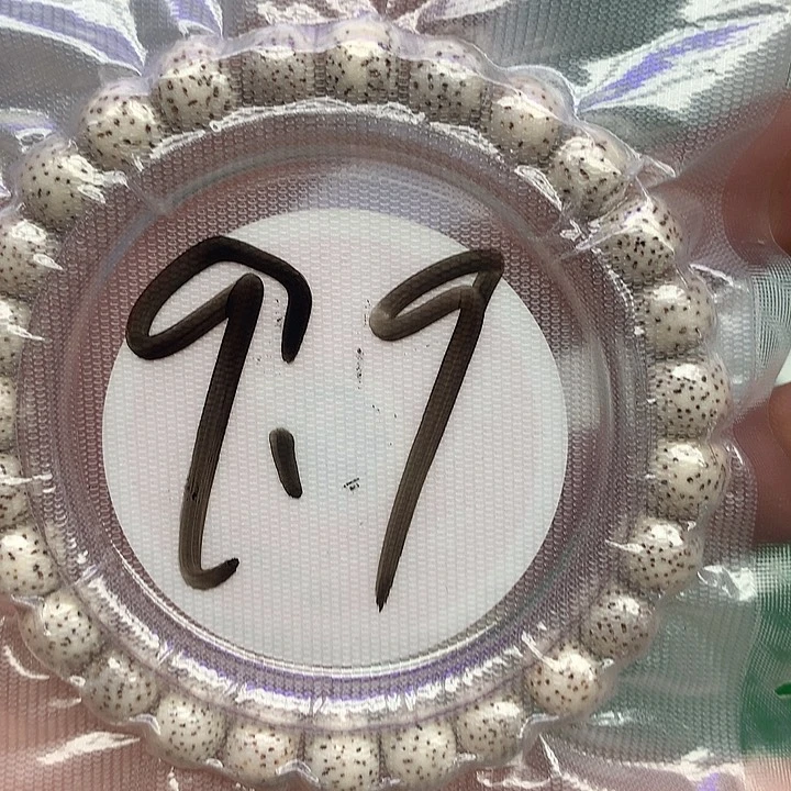 星月菩提把件星月