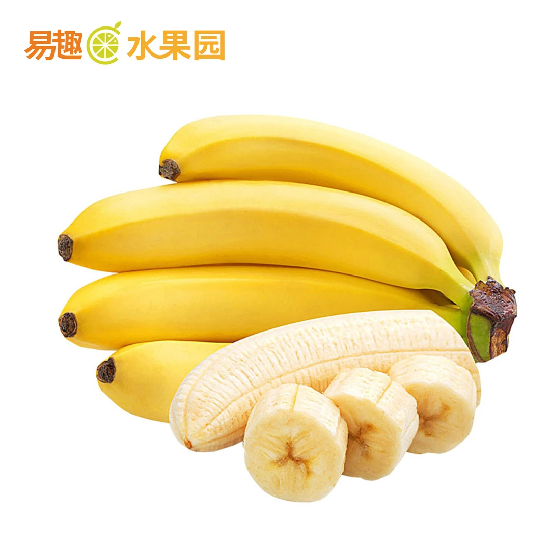 HF 国产 精品香蕉