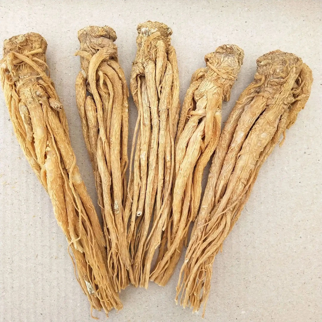 当归高山 [老乡现收]（可搭配枸杞