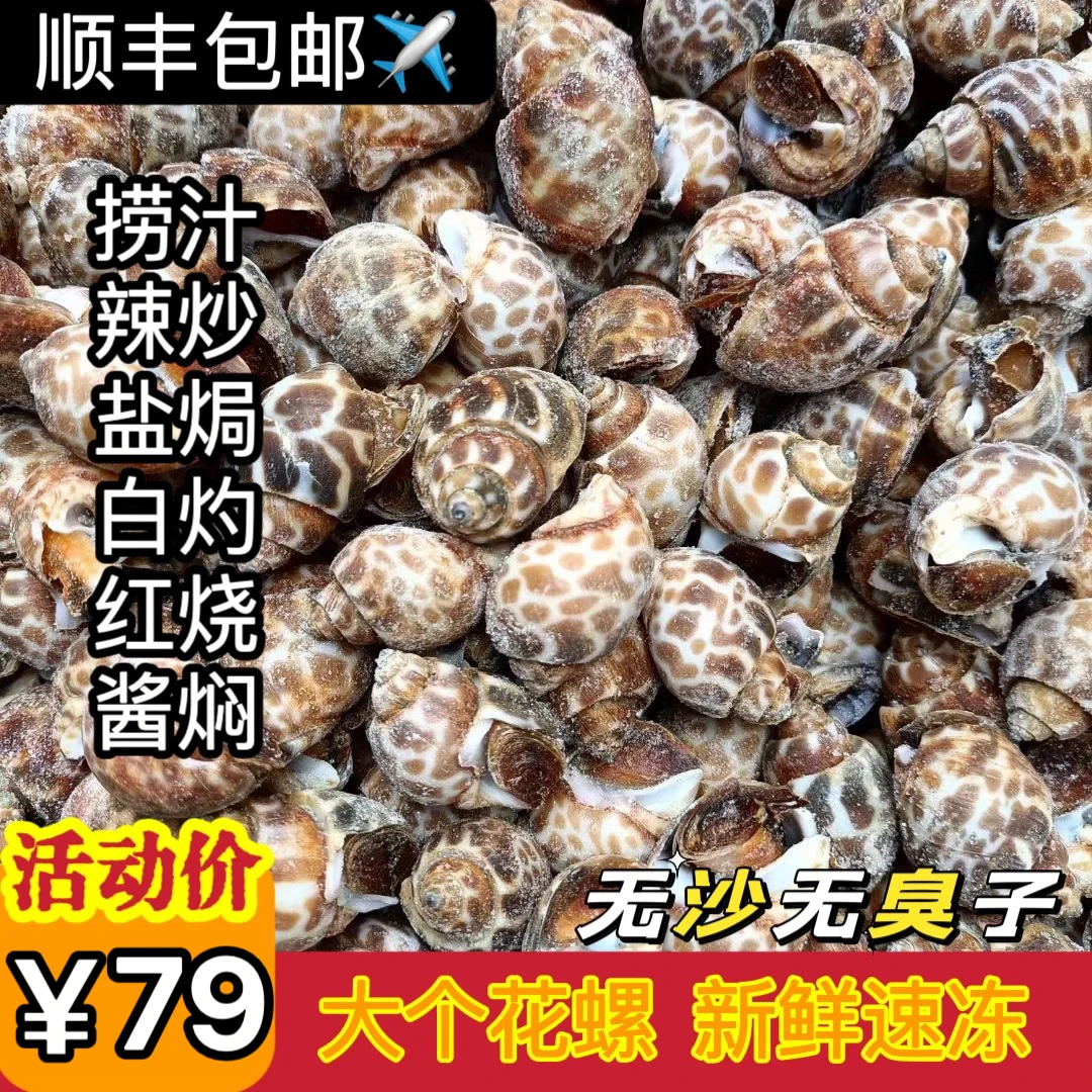 花螺鲜活新鲜海螺特大号海鲜水产鲜活鲜冻冷冻东风螺特大花螺贝类