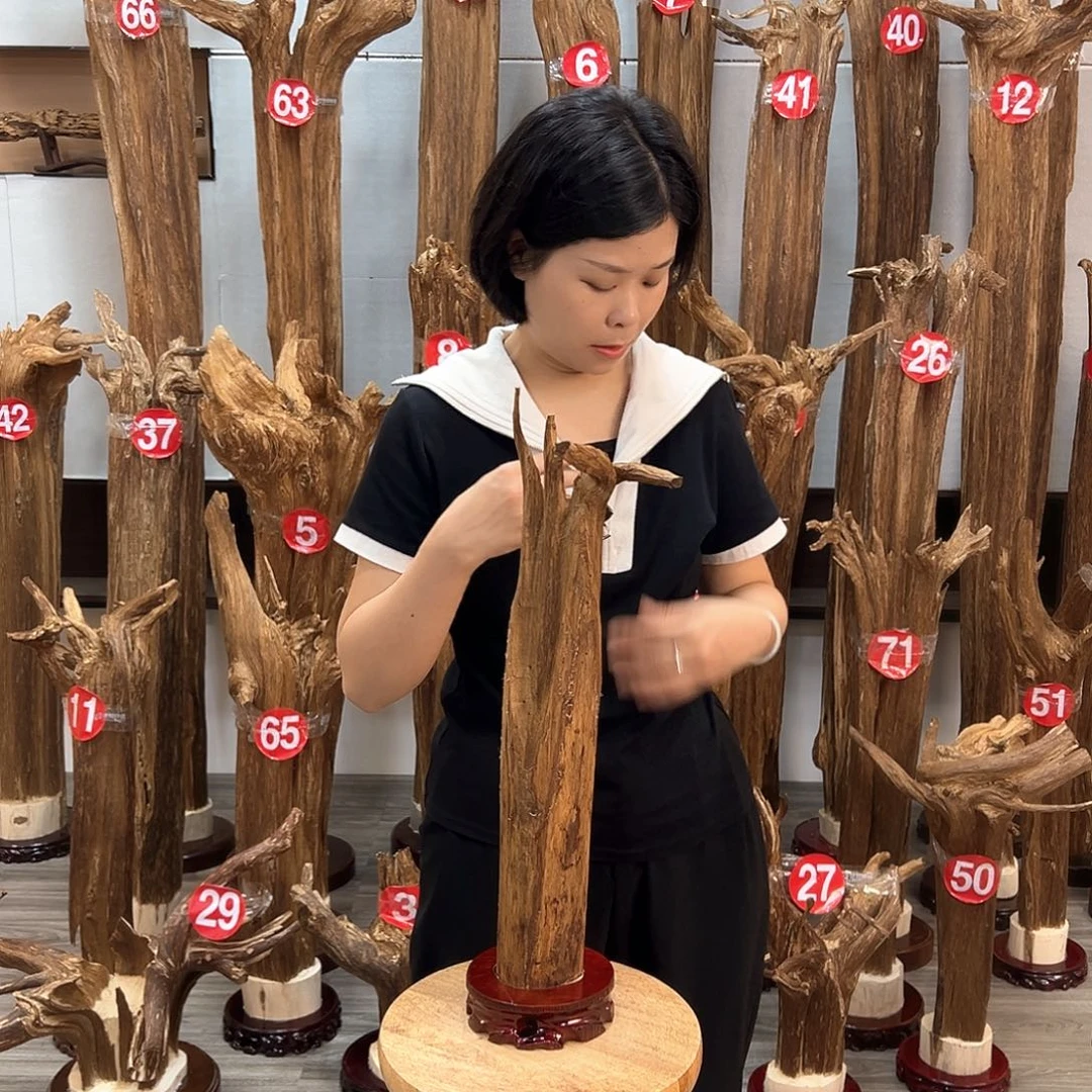 沉香碎屑沉香沉香碎屑