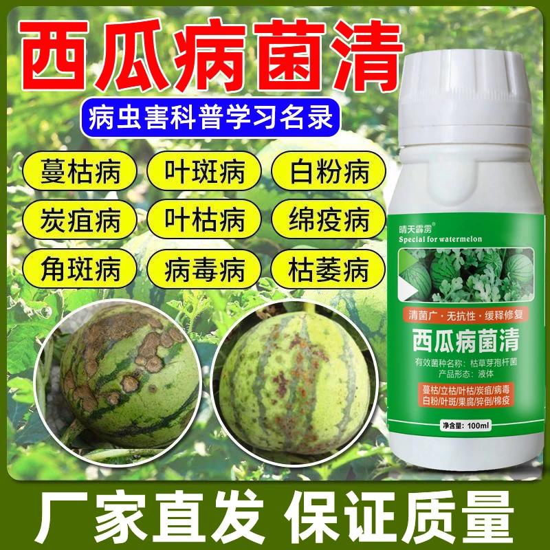 西瓜病防治药西瓜病毒病蔓枯病炭疽病西瓜病菌清西瓜微生物菌剂