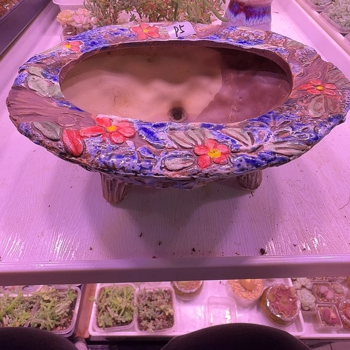 盆5，特别的花朵盆，闲置处理福利出！