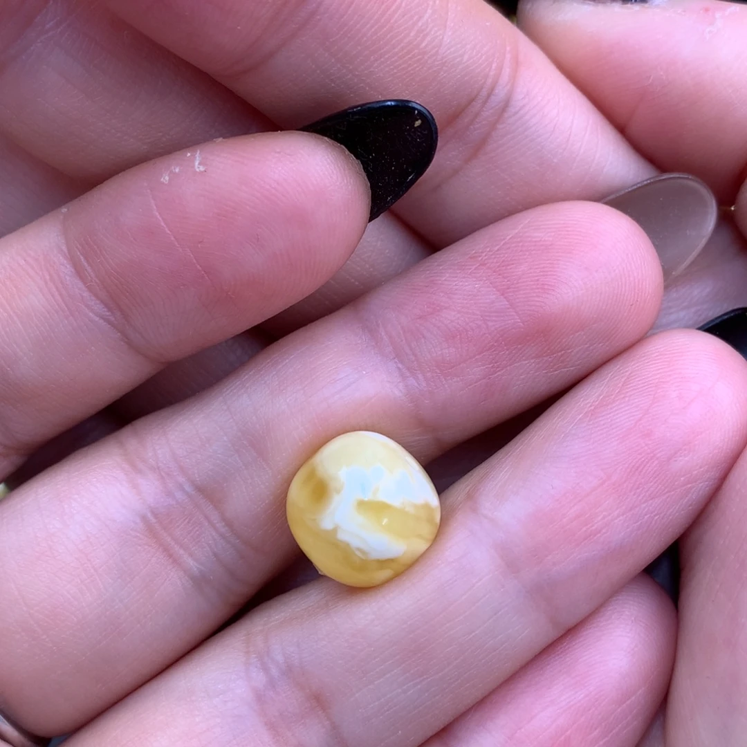 琥珀未镶嵌裸石蜜蜡12