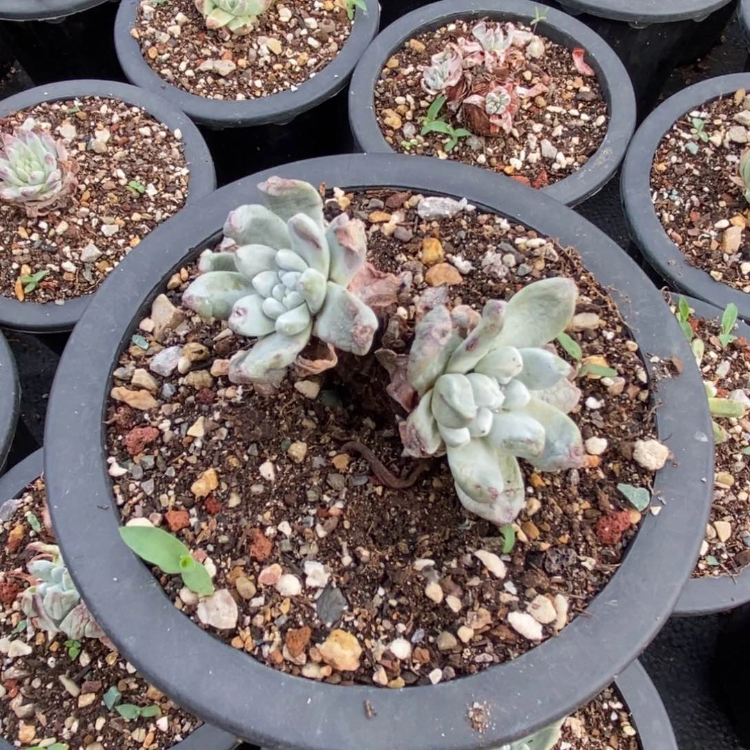 1221哈哈哈哈哈哈哈哈