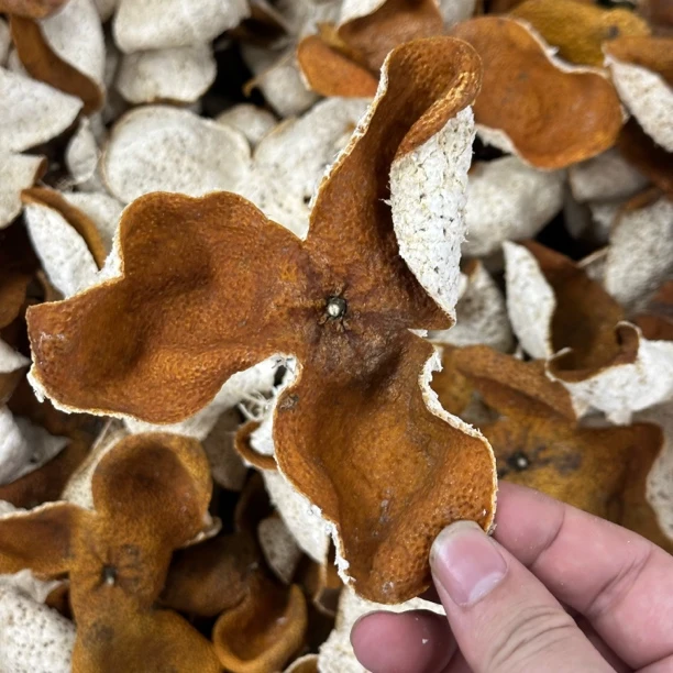 2024年茶坑圈枝大红皮收藏高货新会陈皮