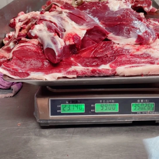 【闪购商品】冷冻保存30天包装河北省鱼****号