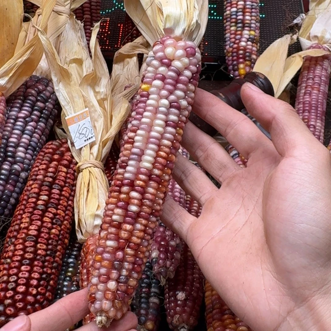 米***夏吊坠柏香籽/百香籽