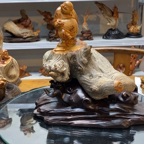 柏木（崖柏）太行崖柏