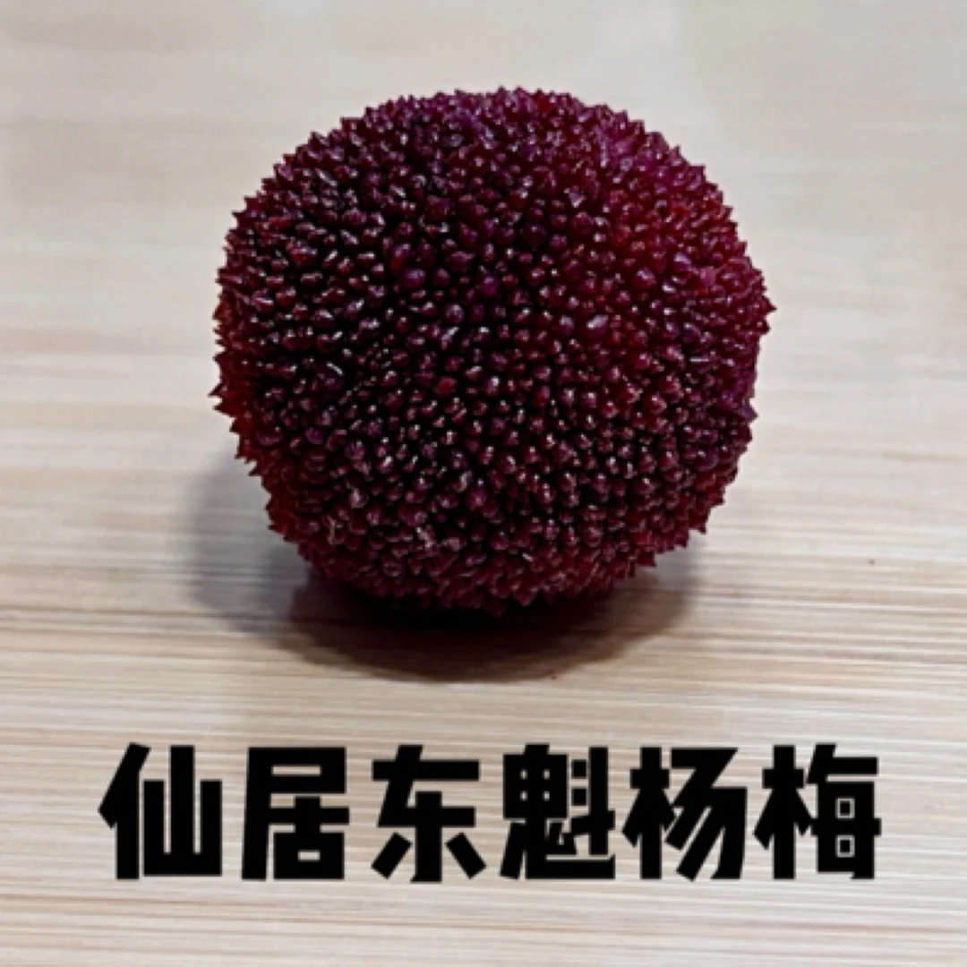 正宗仙居东魁杨梅新鲜现摘酸甜大果当季时令泡酒正宗仙居杨梅东魁