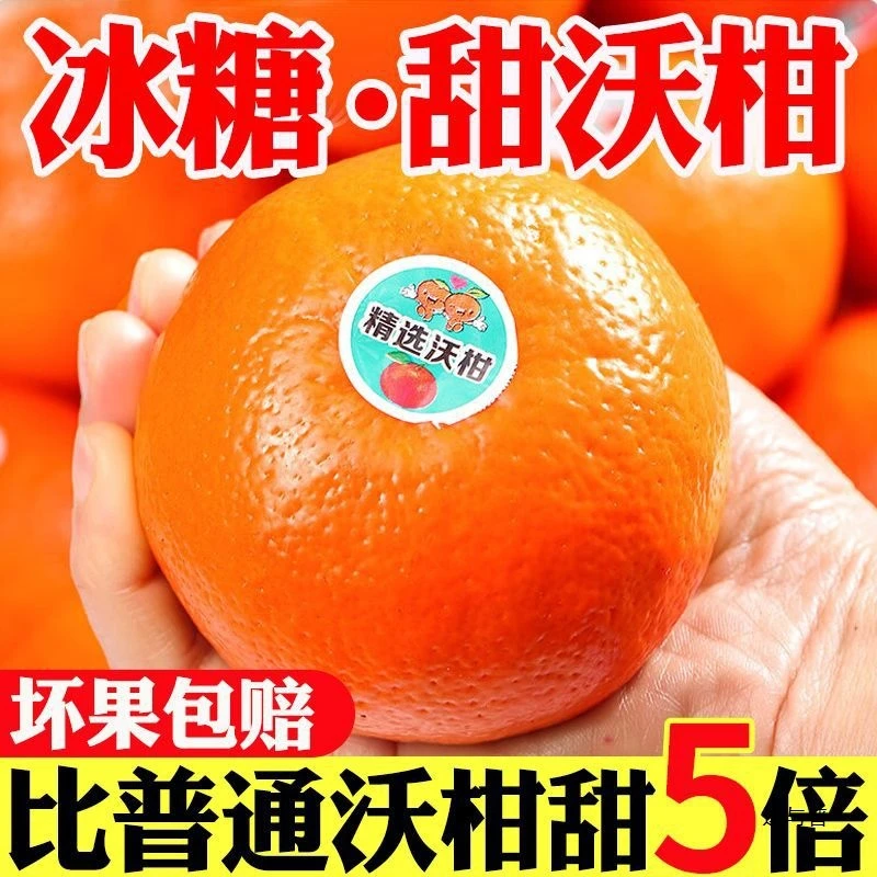 【次日可达】正宗超甜沃柑皮薄保证新鲜