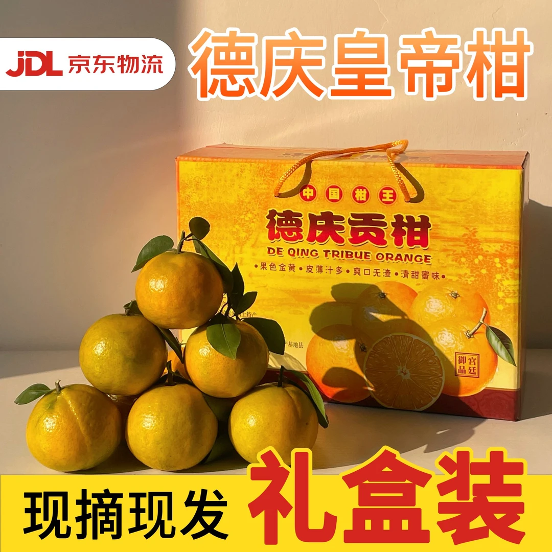 正宗德庆皇帝柑现摘贡柑新鲜当季水果爆甜多汁精选礼盒装产地直发