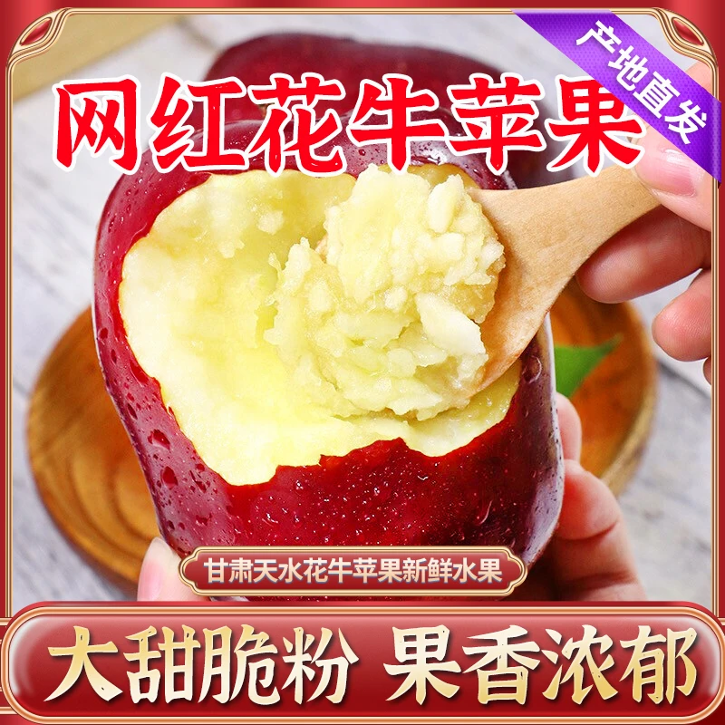【天水花牛苹果】正宗甘肃新鲜水果当季正宗平果红蛇粉面辅食丑果