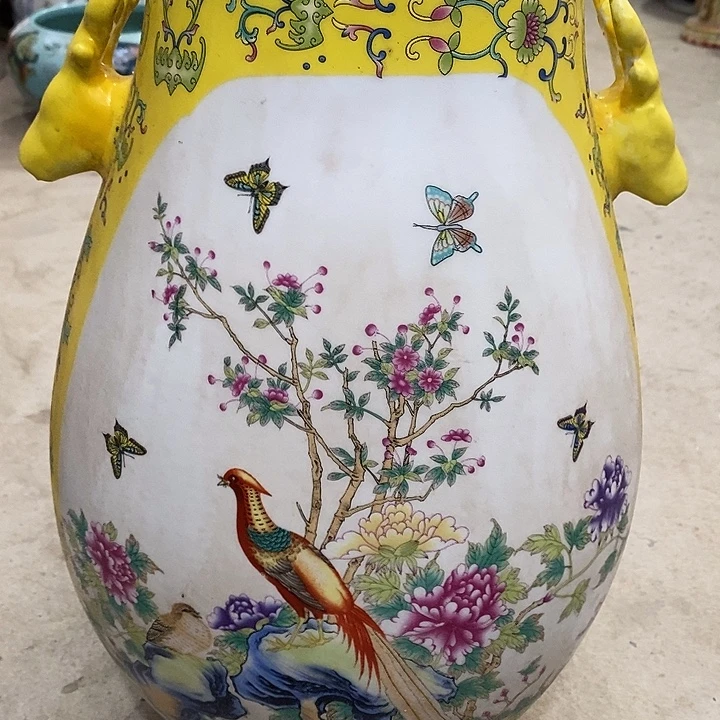 瓷片我也好可爱的啊哈啊哈哈