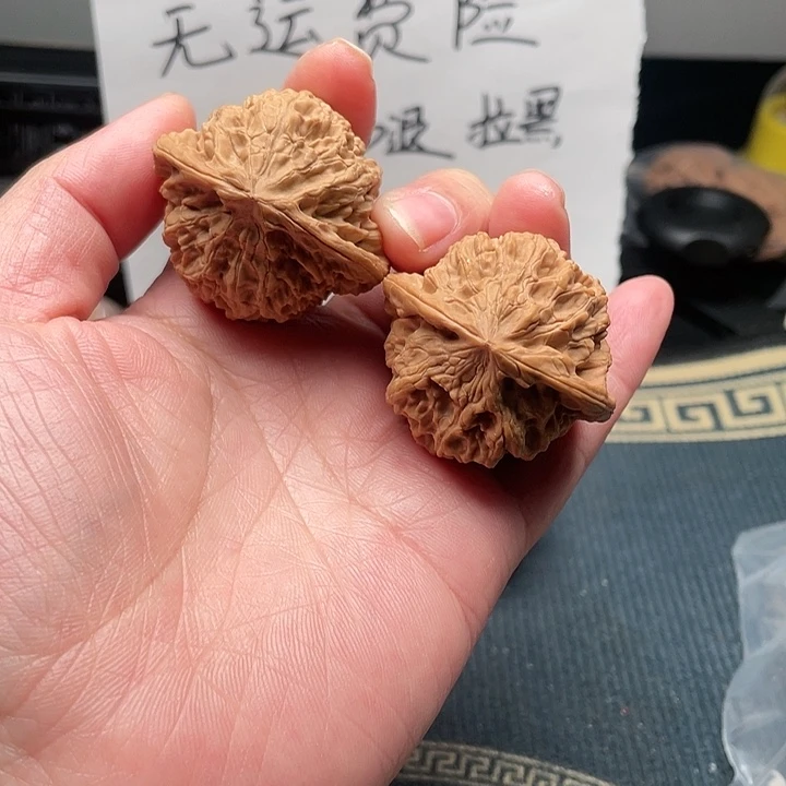 大叶紫檀（黑酸枝木类）