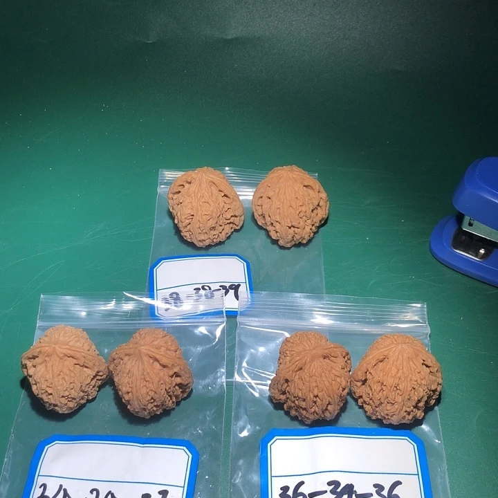文玩核桃吊坠南疆7