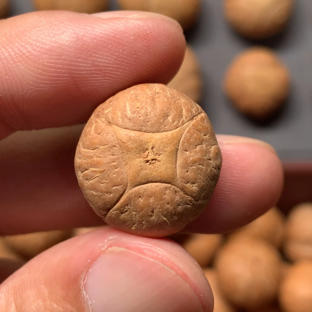 吊坠凤眼菩提19.1mm尼泊尔麒麟，打孔直播间和我说