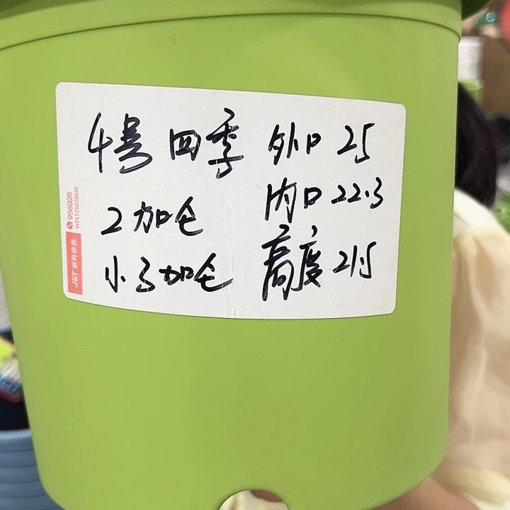特价4号四季盆口25高21混色无托8只
