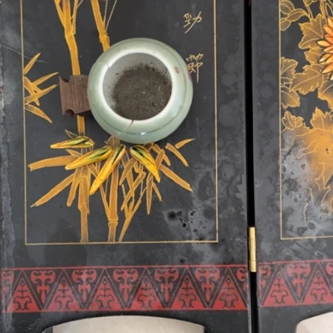 护**力z c z c z x z x z