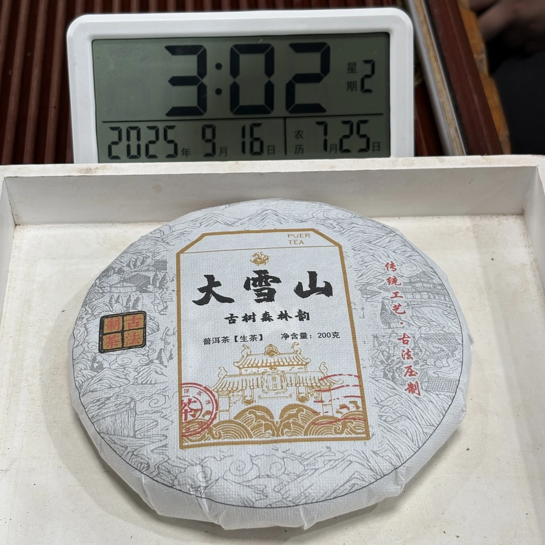 2025年大雪山老树古树混采（春）普洱生茶 200克*5饼 -【250号】9-15