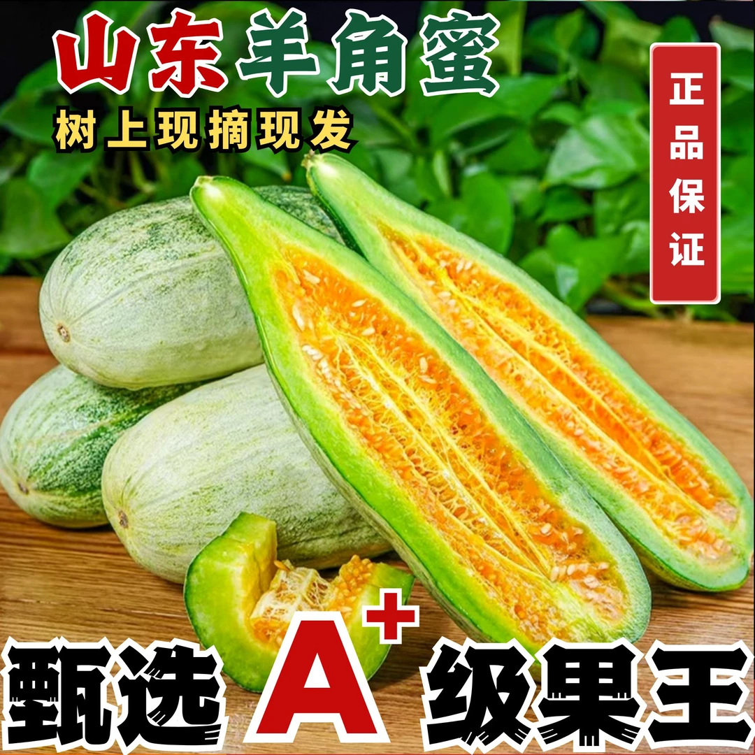 【精品果-现摘现发】精品头茬羊角蜜甜瓜山东潍坊清脆甜香