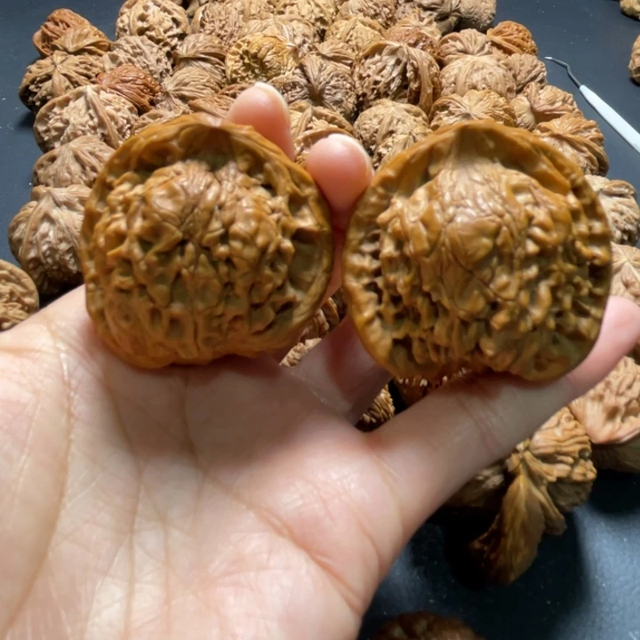 官帽蛇头43尺寸核桃哈哈哈哈哈哈哈