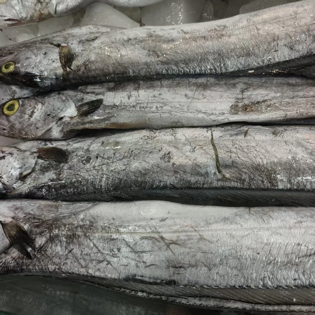 冰鲜带鱼【老笨海鲜】备注可免费收拾！！！